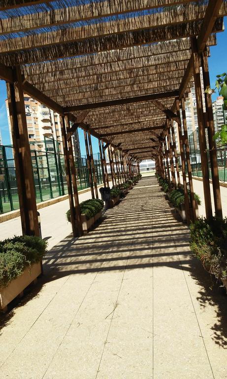 Apartment Carmentxu Gemelos 26 Benidorm Værelse billede
