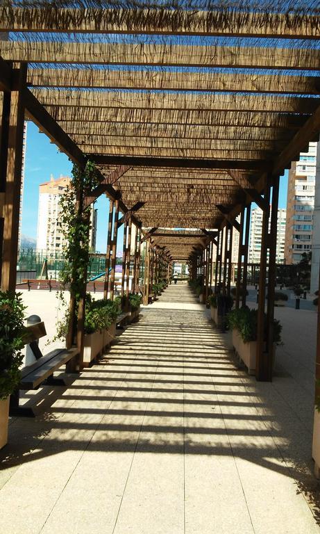 Apartment Carmentxu Gemelos 26 Benidorm Værelse billede